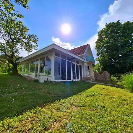 Honey Hill Apartment Fruska Gora Cerevic Exterior photo