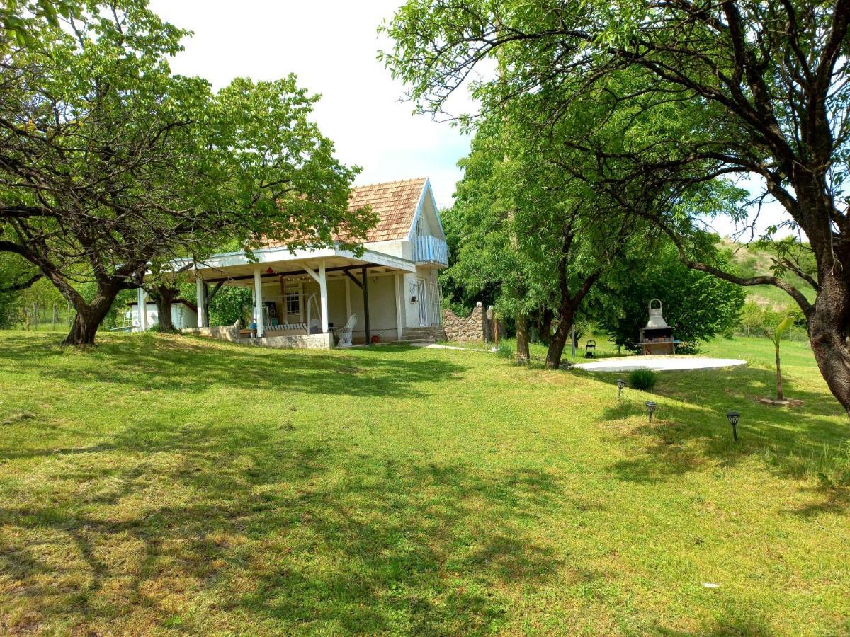 Honey Hill Apartment Fruska Gora Cerevic Exterior photo